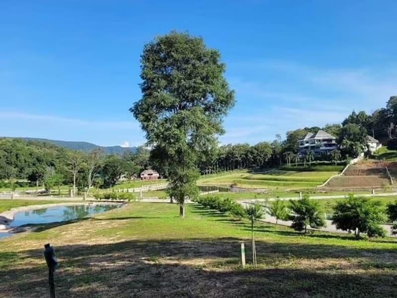 Land for Sale in Pa Pong, Hang Dong