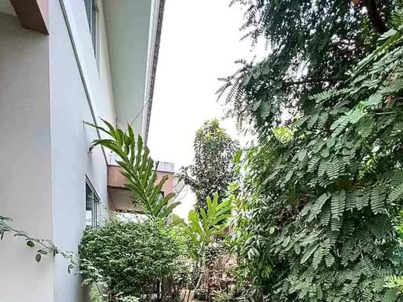 3 Bedroom House for Sale in San Pu Loei, Doi Saket. - DS13653