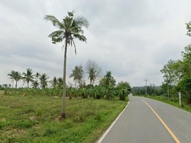  Land for Sale in Nong Yai District