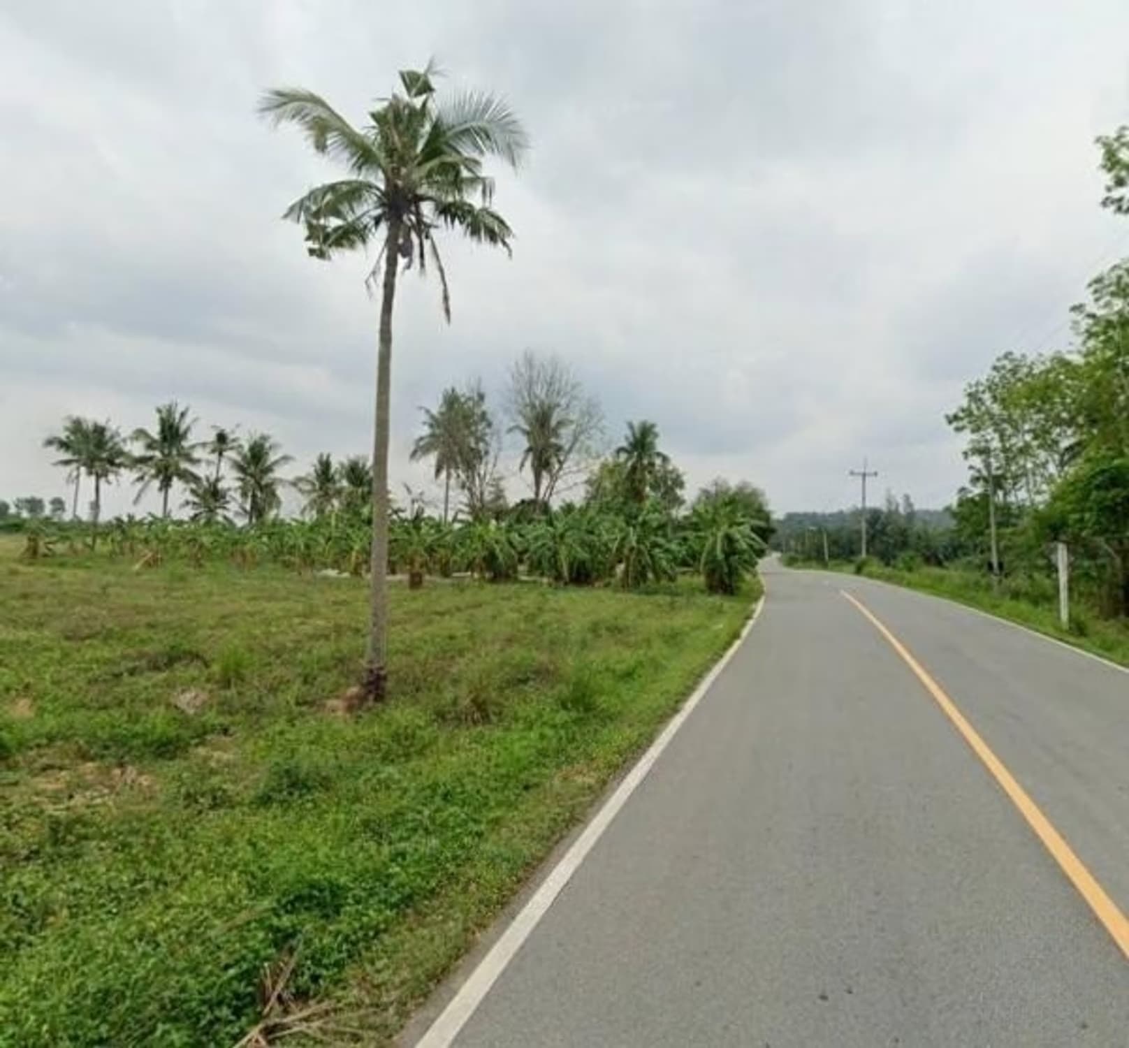  land สำหรับ ขาย ใน Nong Yai District - Image 4