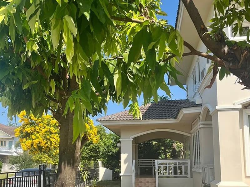 House for Rent in Mae Hia, Mueang Chiang Mai.
