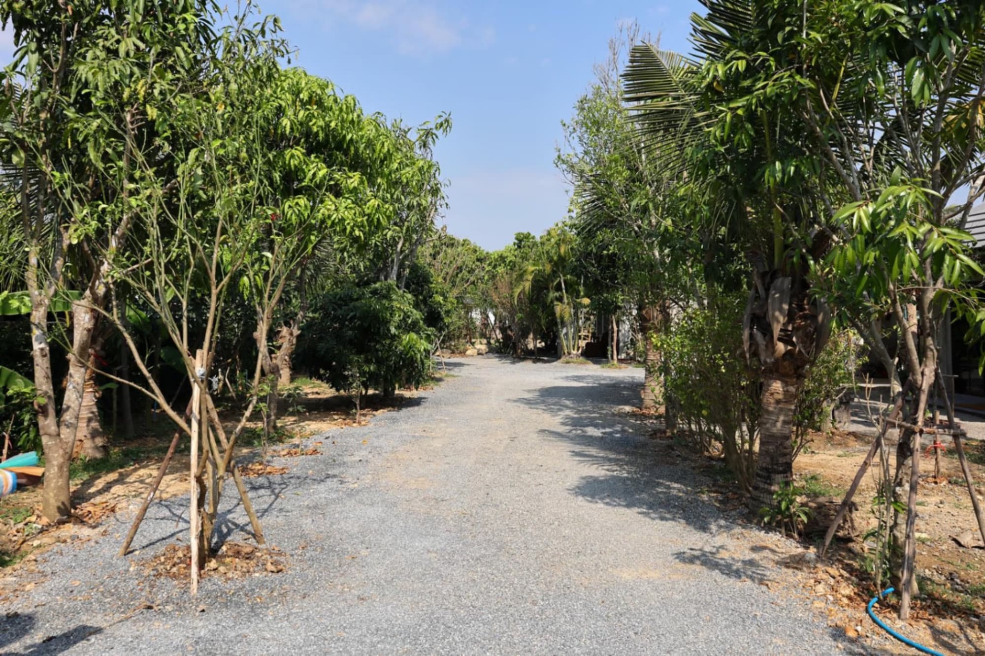 3 ห้องนอน บ้าน สำหรับ ขาย ใน Saraphi District - Image 26