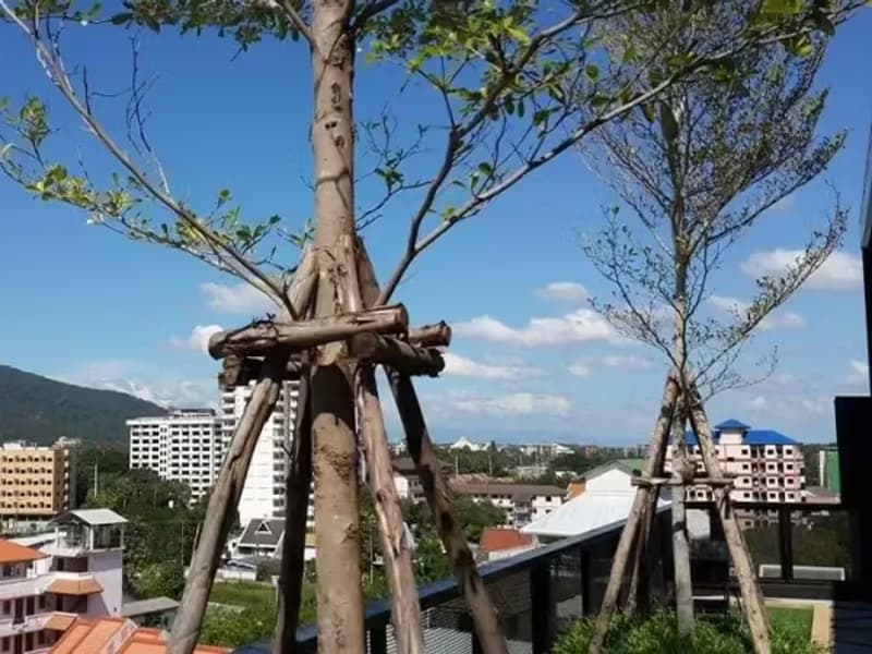 1 Bedroom Condo