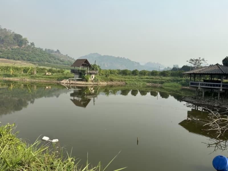  Land for Sale in Fang District