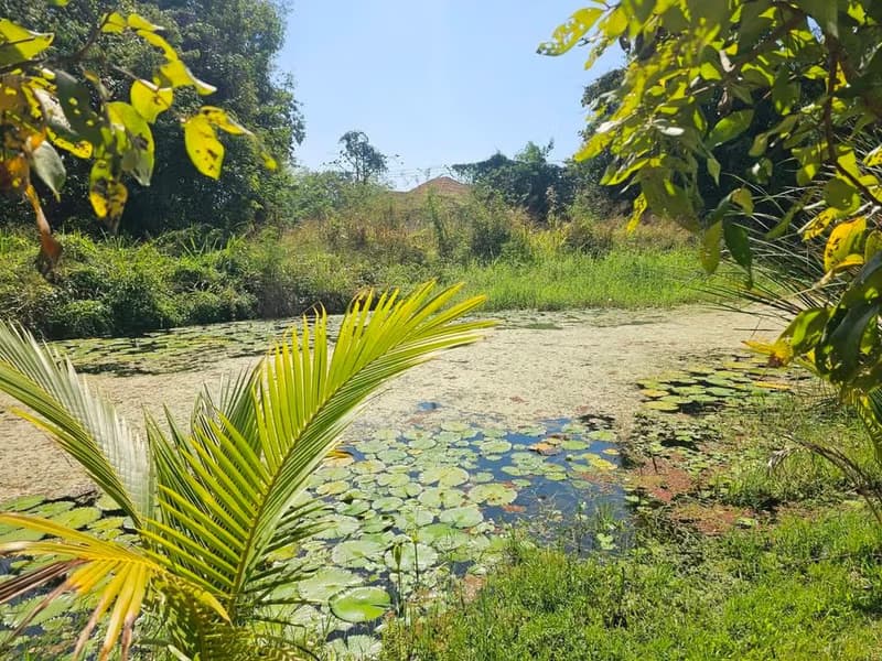 3 Bed House for Rent in Mueang Chiang Mai District