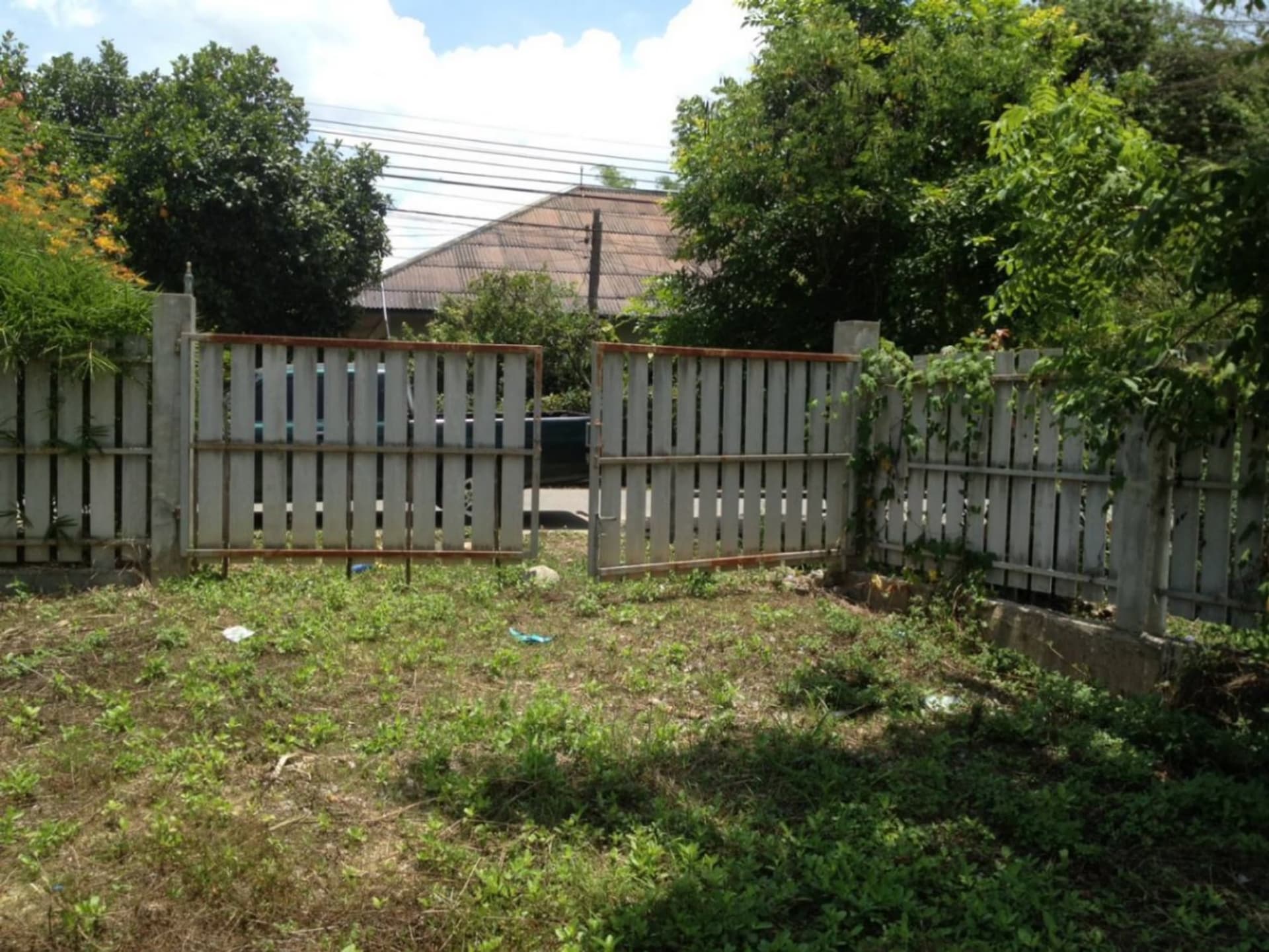  land 用于 出售 在 Saraphi - Image 1