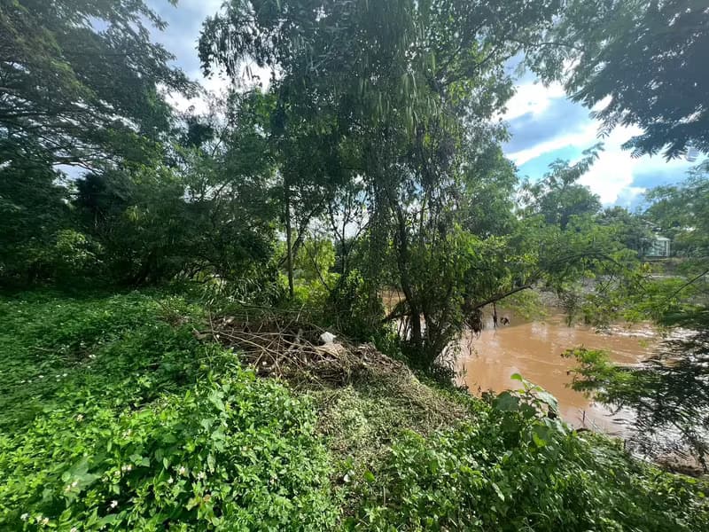 Land for Sale in Mueang Kaeo, Mae Rim