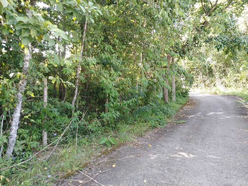 Code KRB8229 Perfect land for sale in Mae Rim