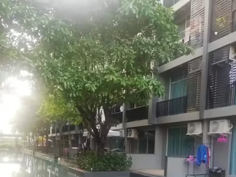 1 Bedroom Condo