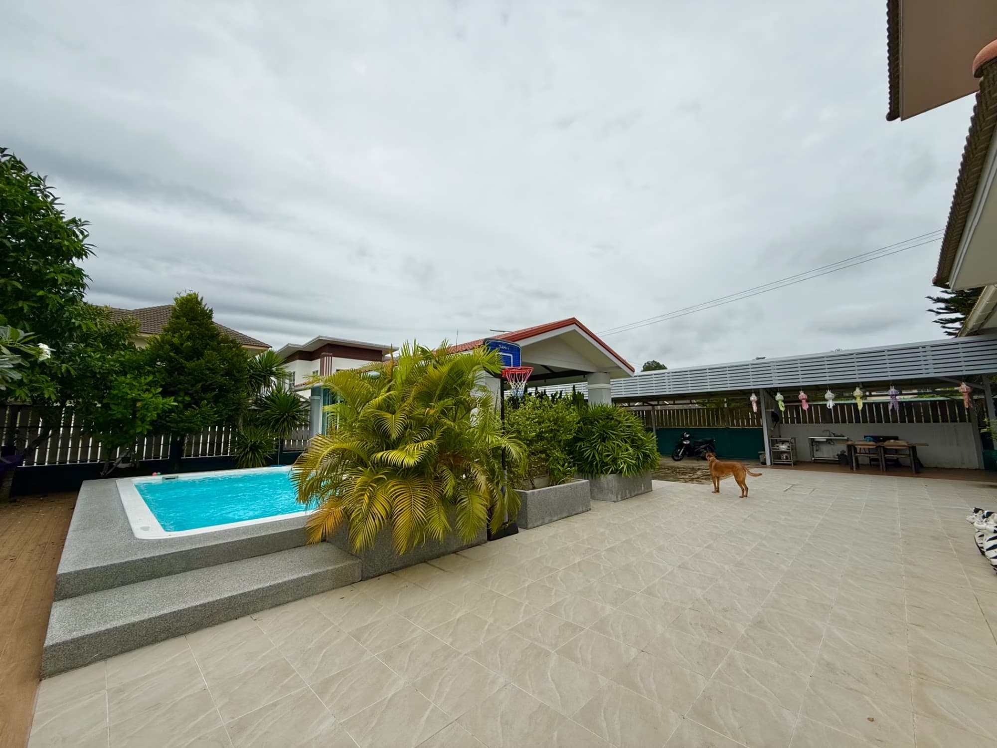 3 ห้องนอน บ้าน สำหรับ จำหน่าย ใน San Sai - Image 3