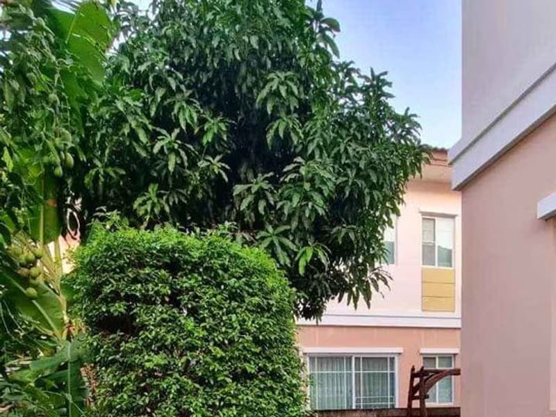 3 Bed House for Rent and Sale in Bang Phli