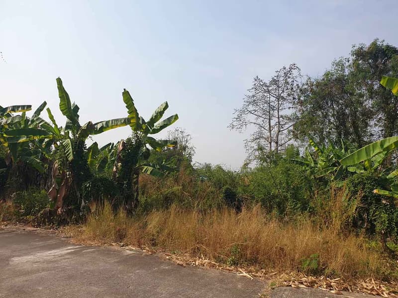 Discover the perfect plot for your dream home. 