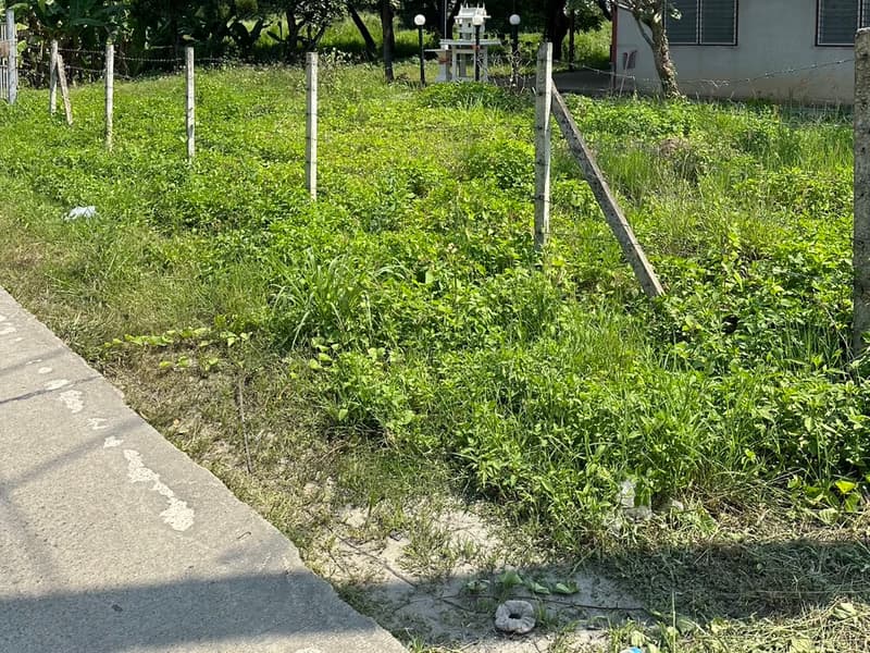  Land for Sale in Hang Dong District