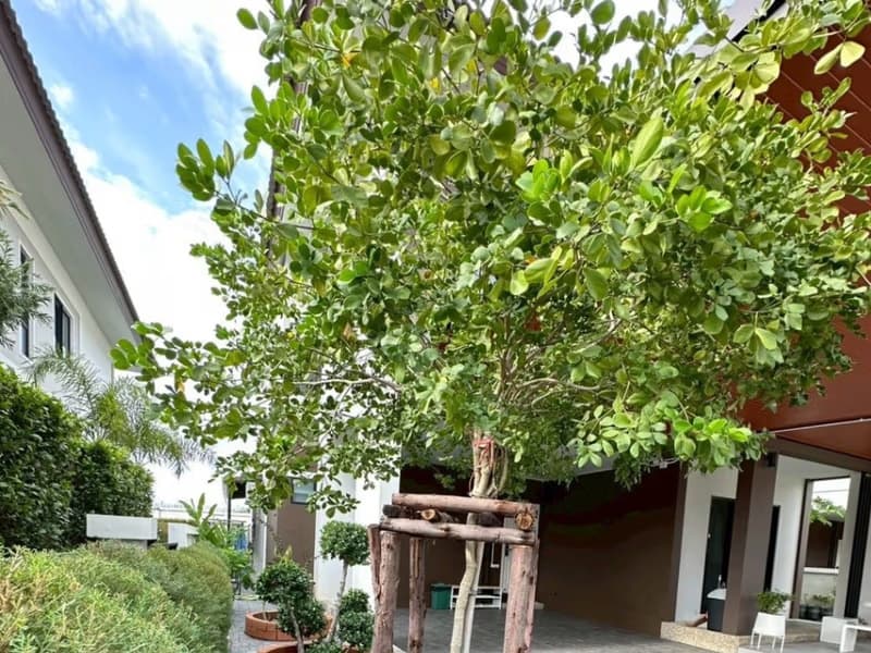 4 Bed House for Rent in Hang Dong
