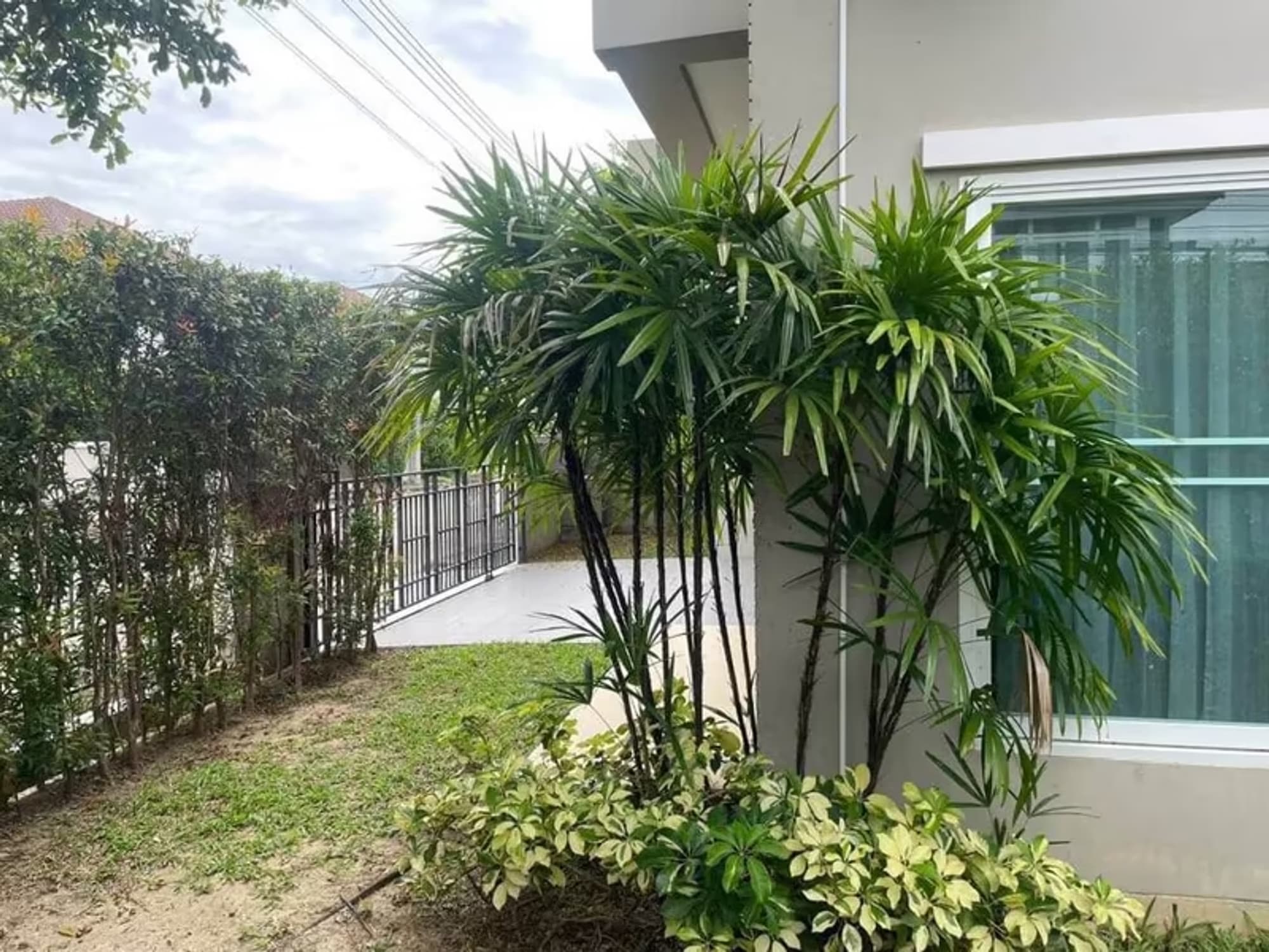 House for Rent in San Pu Loei, Doi Saket.   - Image 4