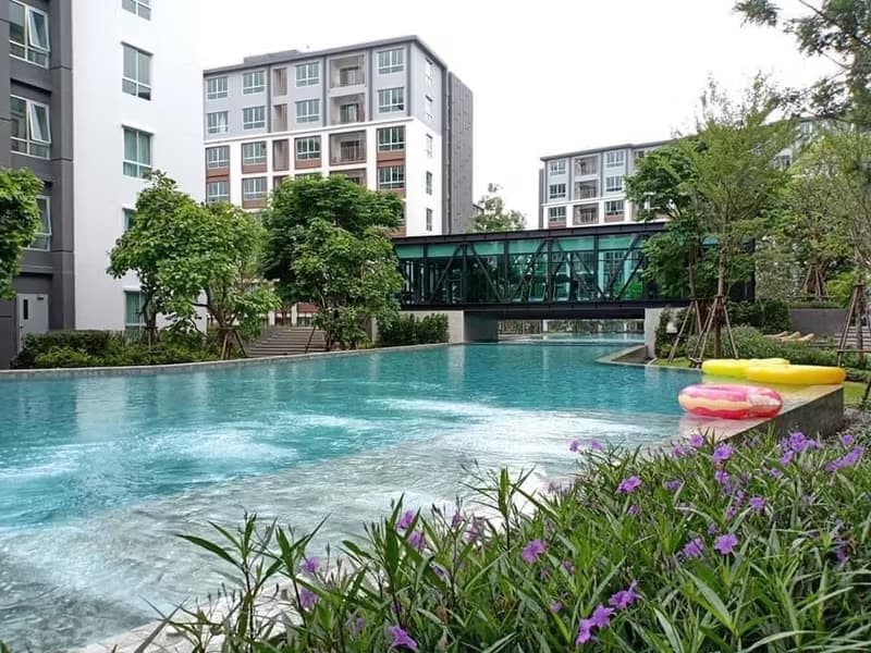 1 Bedroom Condo