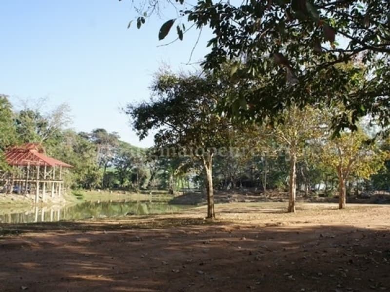  Land for Sale in Doi Saket District
