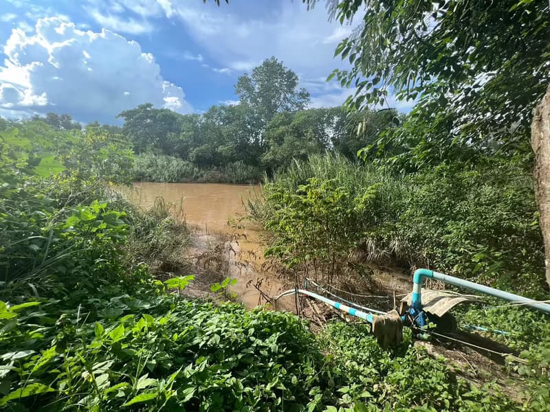 Land for Sale in Mueang Kaeo, Mae Rim