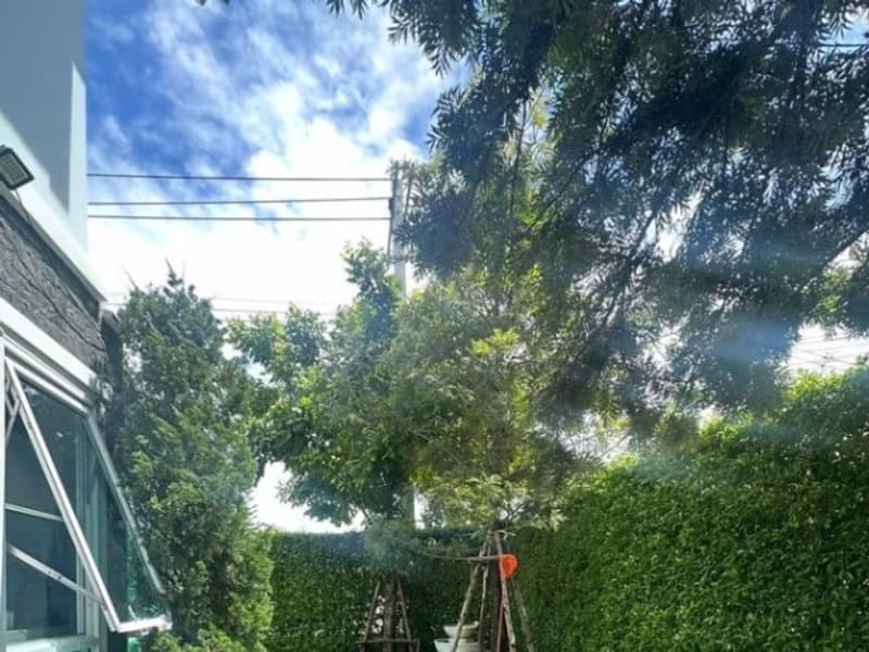 4 Bed House for Rent in Bang Phli