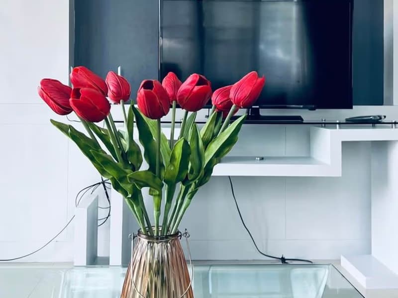 3 Bed House for Rent in Hang Dong