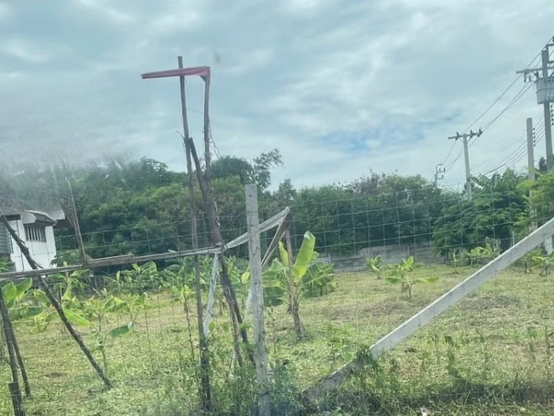  Land for Rent and Sale in Prawet