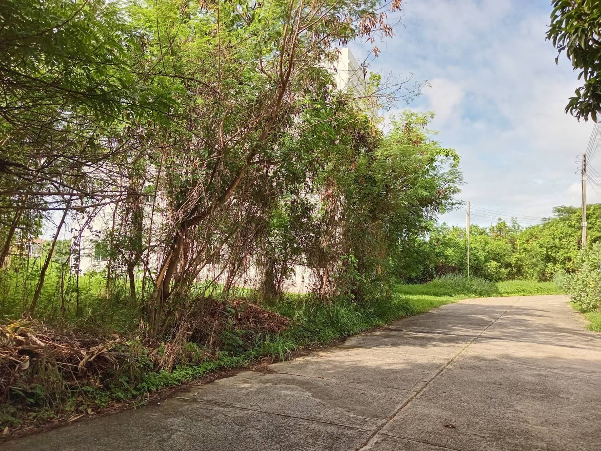  Land for Sale in Mueang Chiang Mai - Image 8