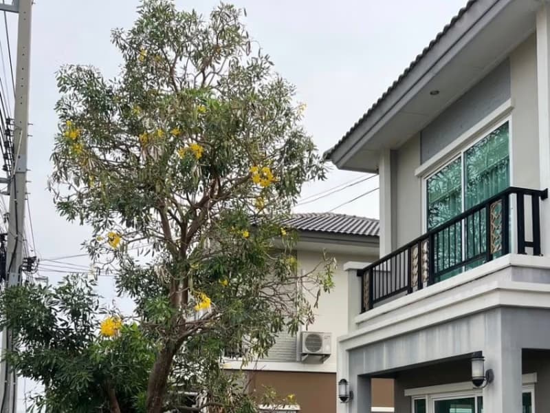 3 Bed House for Sale in Bang Phli
