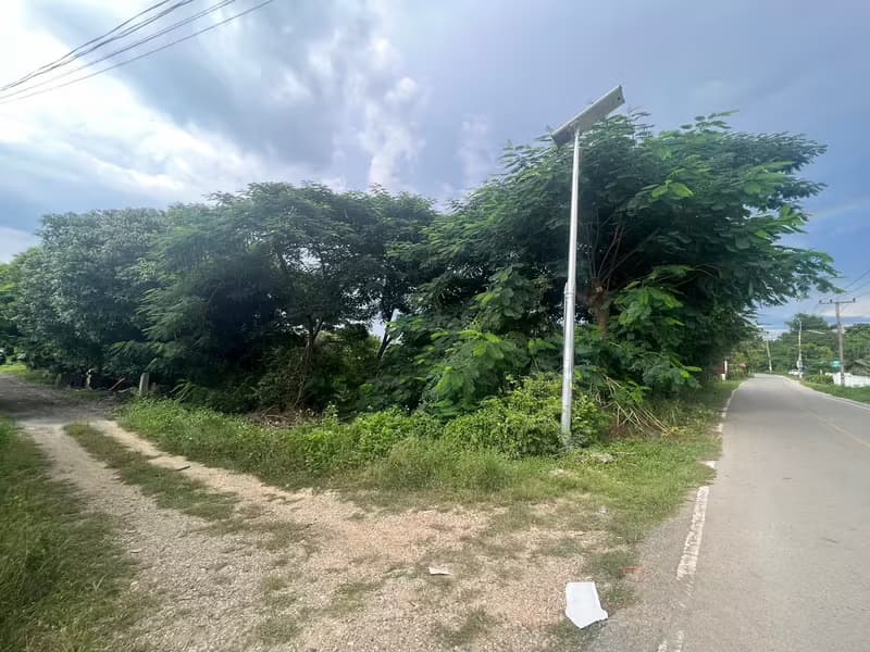 Land for Sale in Mueang Kaeo, Mae Rim