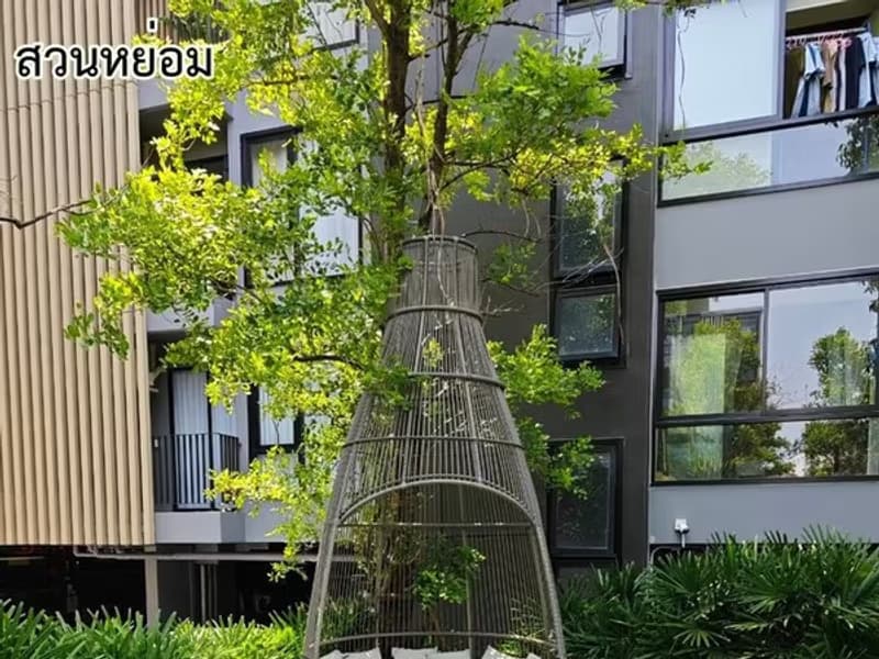 1 Bedroom Condo