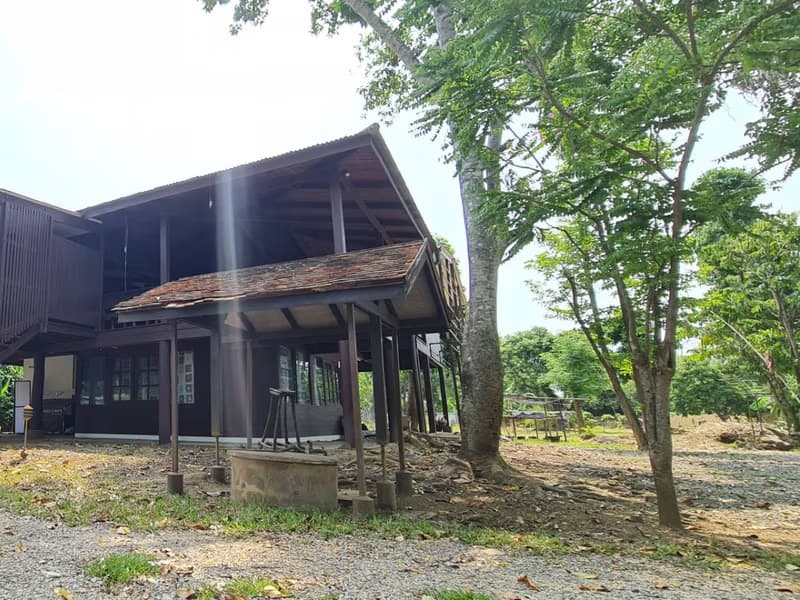 Land for Sale in Nong Phueng, Saraphi