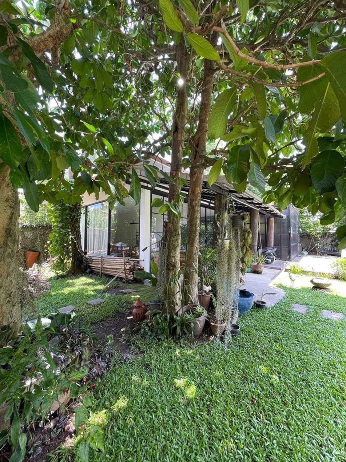 House for Sale in , San Sai.   - Image 13
