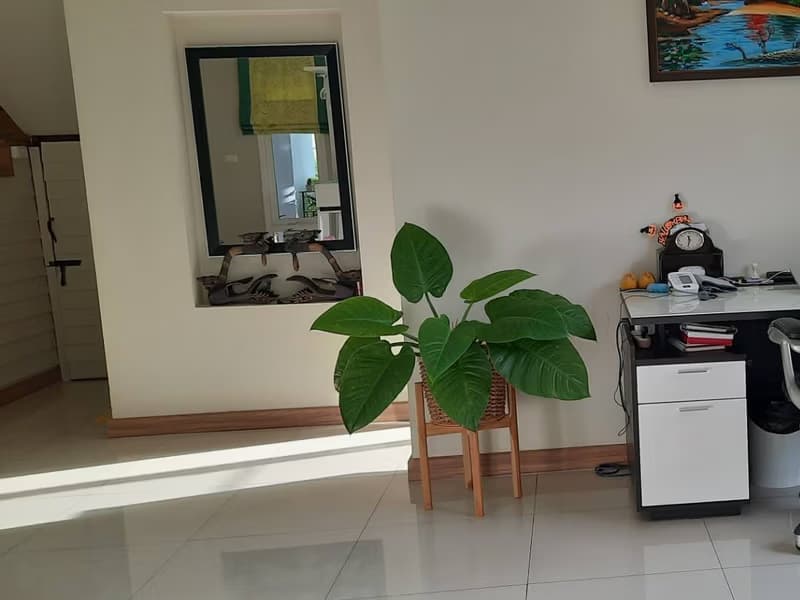 House for Sale in Ton Pao, San Kamphaeng.  