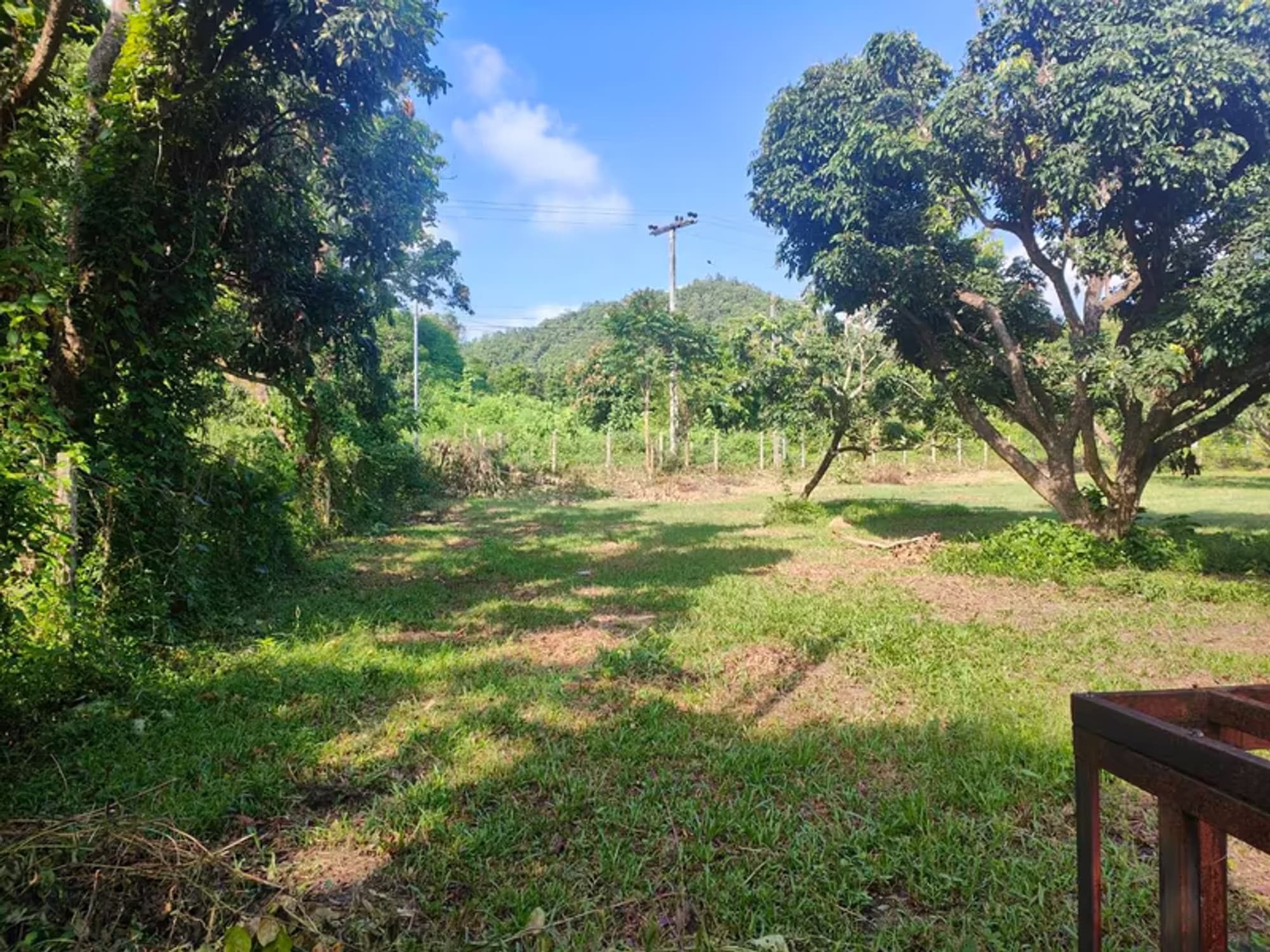 Land for Sale - Image 9