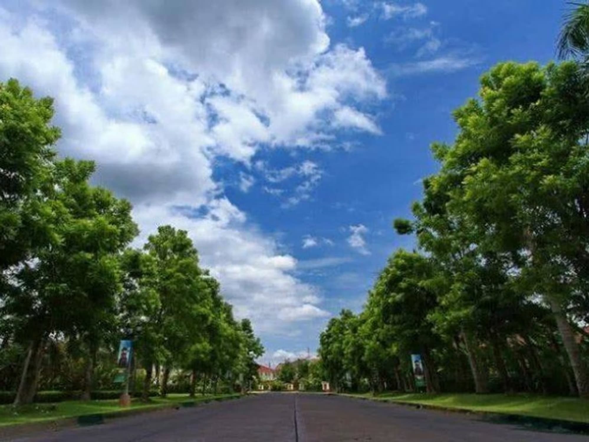 3 ห้องนอน บ้าน สำหรับ ขาย ใน San Kamphaeng - Image 15