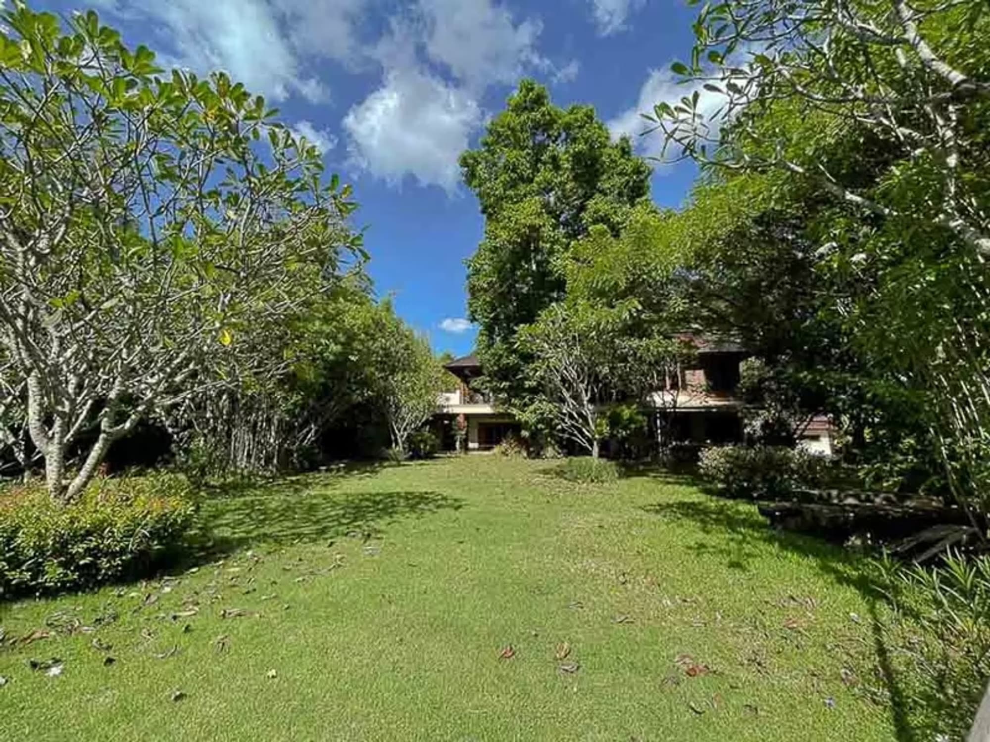 House for Rent in Chang Phueak, Mueang Chiang Mai. - Image 12