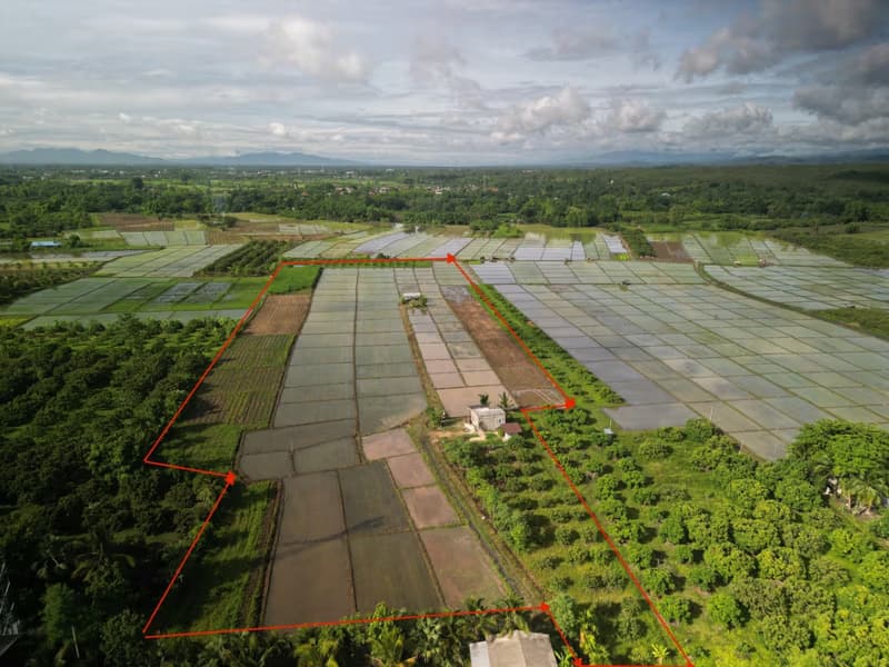  Land for Sale in San Pa Tong District