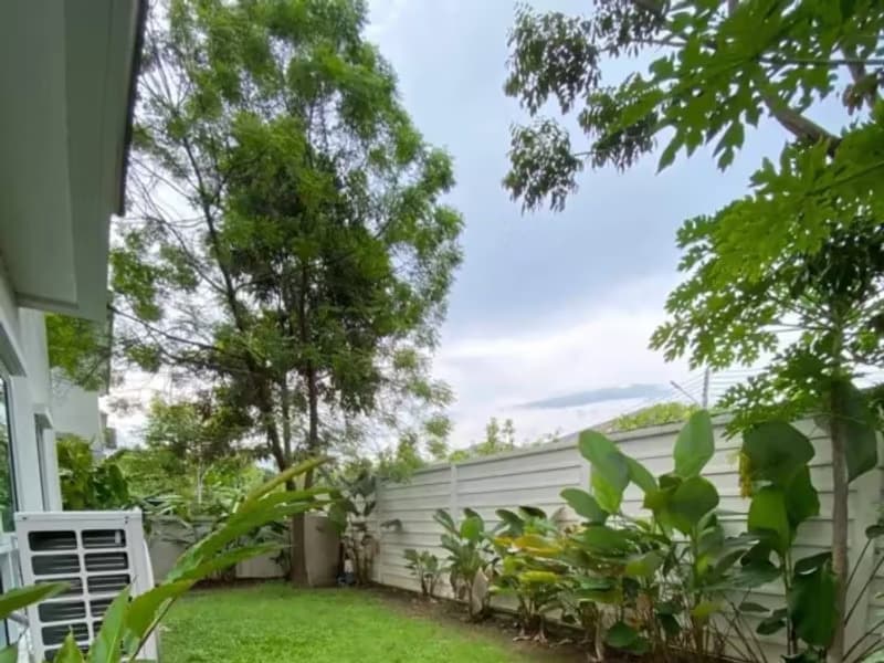House for Rent, Sale in San Phi Suea, Mueang Chiang Mai.