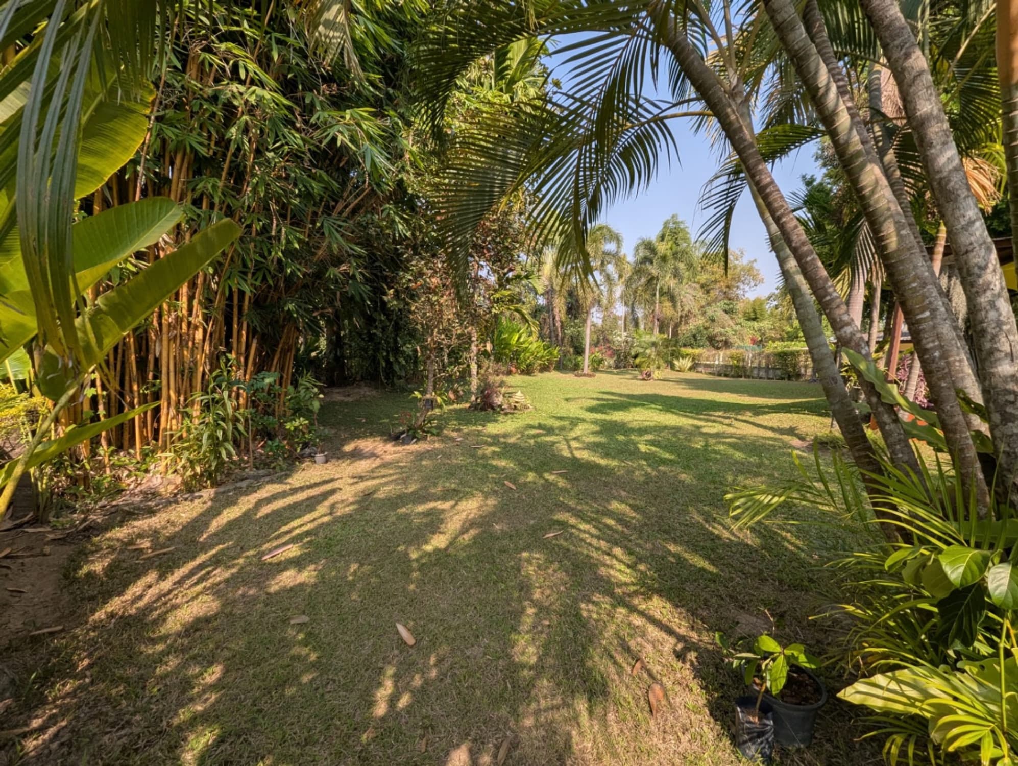 3 Bed House for Sale in Doi Saket District - Image 14