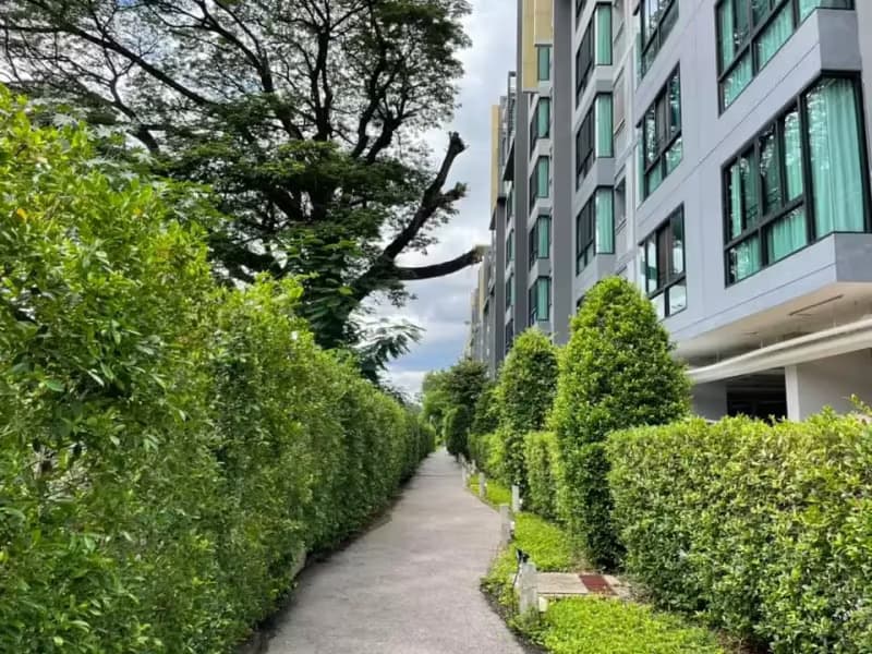 1 Bedroom Condo