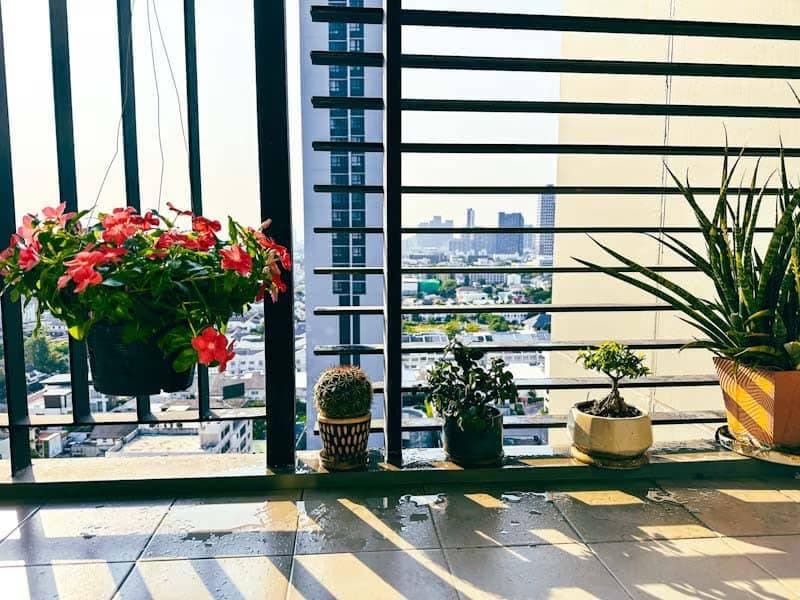 1 Bed Condo for Sale in Watthana