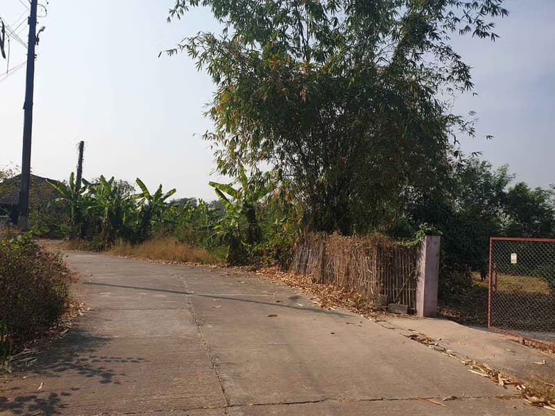 Discover the perfect plot for your dream home. 