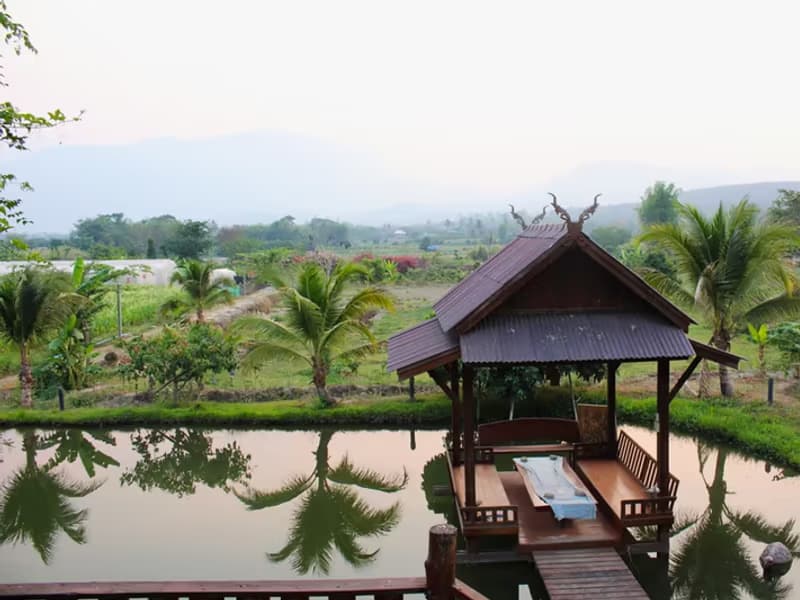 Land for Sale in Chiang Dao