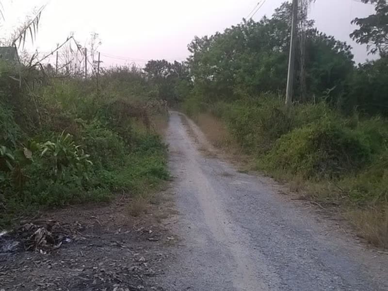  Land for Sale in อำเภอสันป่าตอง
