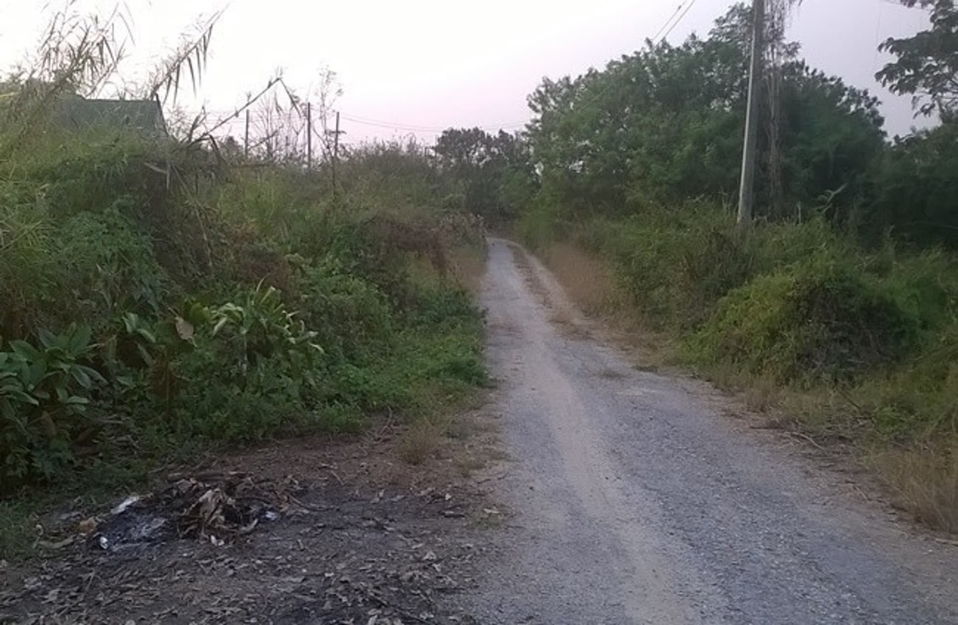  land 用于 出售 在 อำเภอสันป่าตอง - Image 3