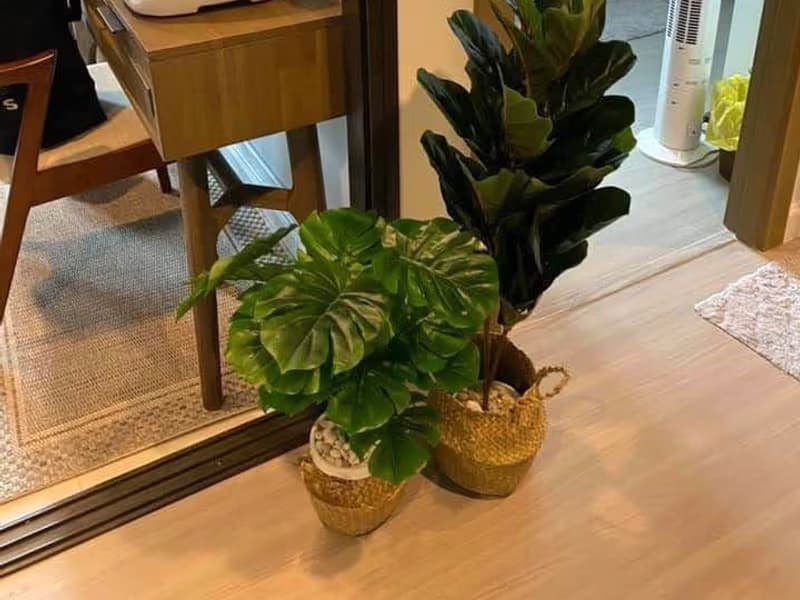 1 Bed Condo for Rent in Din Daeng