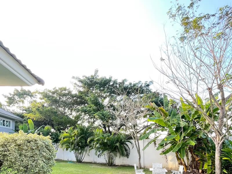 House for Rent, Sale in San Pa Pao, San Sai.