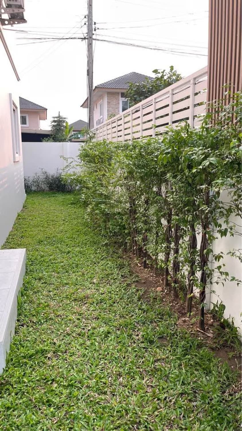 3 Bed House for Rent in Doi Saket - Image 7