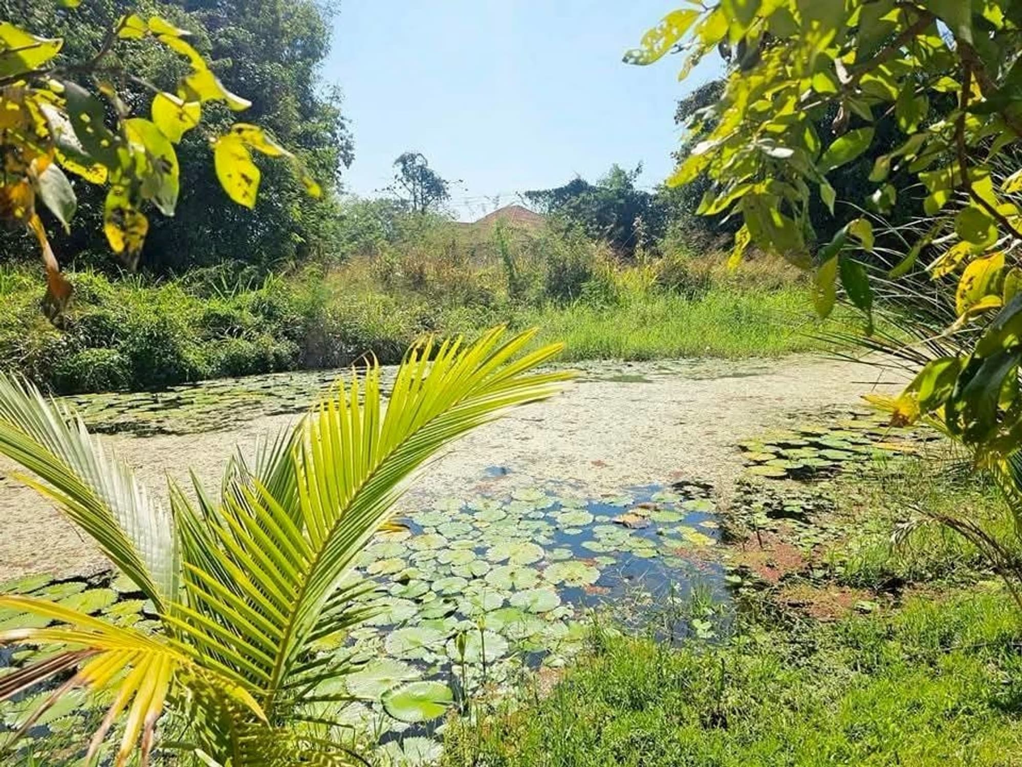 3 卧室 别墅 用于 出租和出售 在 Mueang Chiang Mai - Image 15