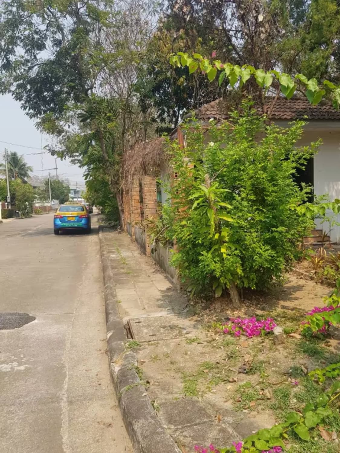 Land for Sale in Mae Sa, Mae Rim - Image 3