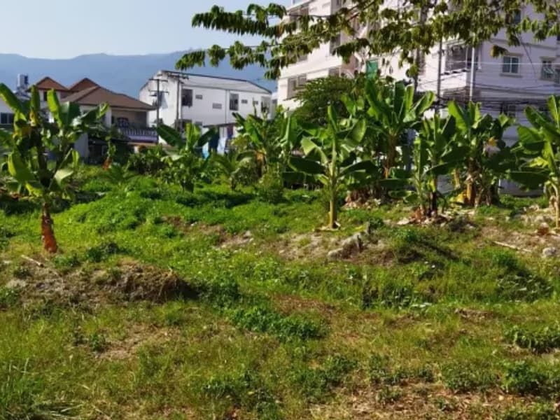 Land for Sale in 
